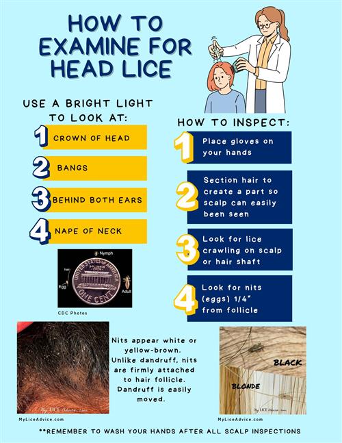 Inspect Lice - Eng